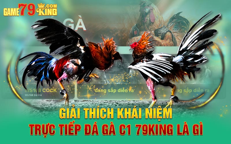 Giải thích khái niệm trực tiếp đá gà C1 79King là gì