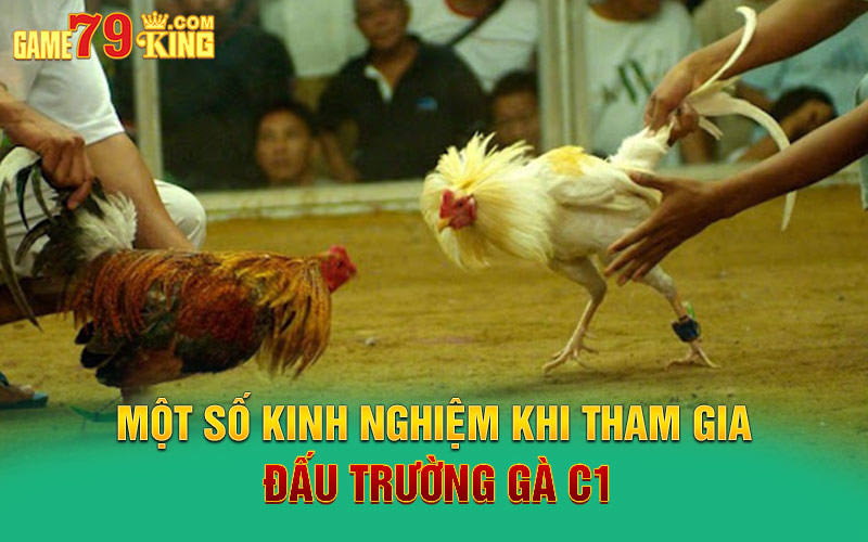 Một số kinh nghiệm khi tham gia đấu trường gà C1