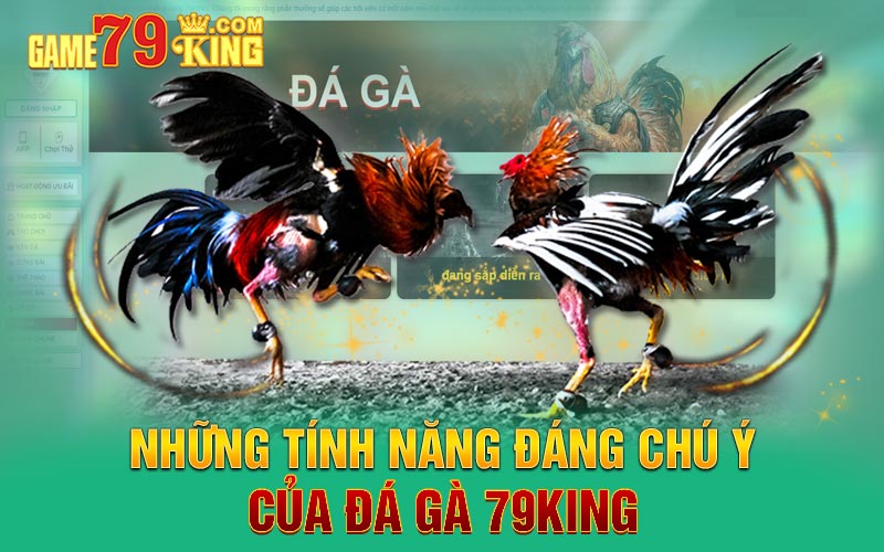 Những tính năng đáng chú ý của đá gà 79king