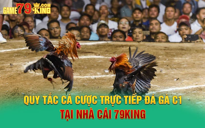 Quy tắc cá cược trực tiếp đá gà C1 tại nhà cái 79King