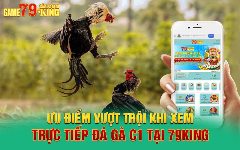 Ưu điểm vượt trội khi xem trực tiếp đá gà C1 tại 79King