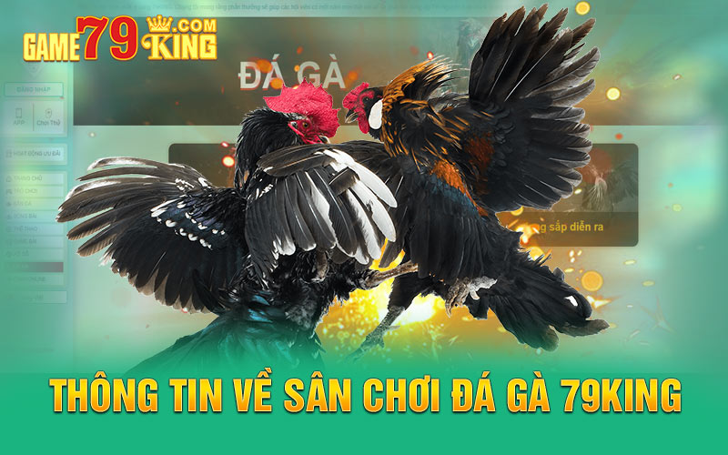 Thông tin về sân chơi đá gà 79king