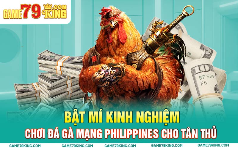 Bật mí kinh nghiệm chơi đá gà mạng Philippines cho tân thủ