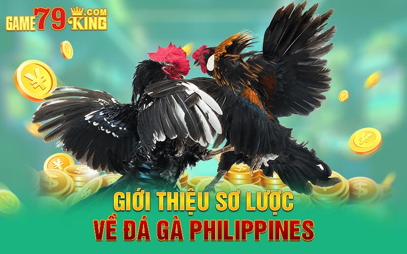 Giới thiệu sơ lược về đá gà Philippines