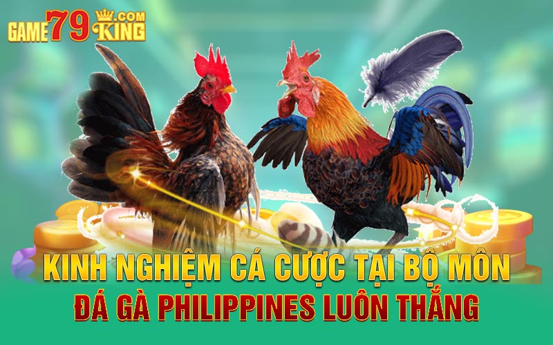 Kinh nghiệm cá cược tại bộ môn đá gà Philippines luôn thắng