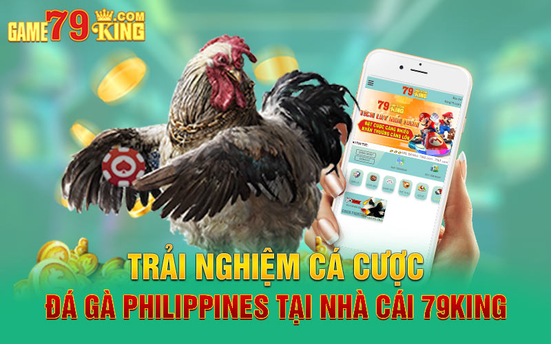 Trải nghiệm cá cược đá gà Philippines tại nhà cái 79king