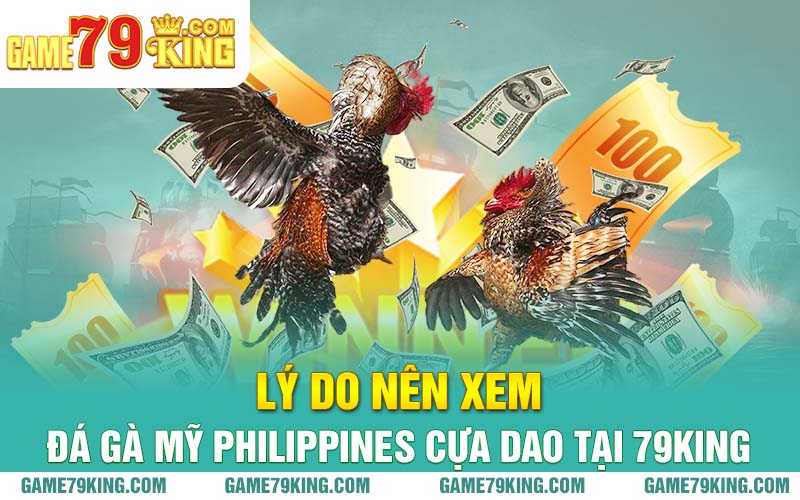 Lý do nên xem đá gà Mỹ Philippines cựa dao tại 79king