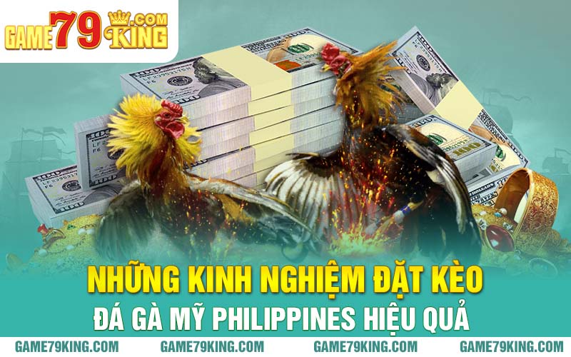 Những kinh nghiệm đặt kèo đá gà Mỹ Philippines hiệu quả 